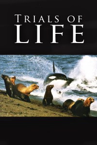 Serie The Trials of Life