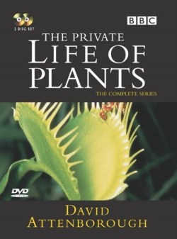 La vida privada de las plantas