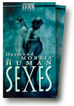 The Human Sexes