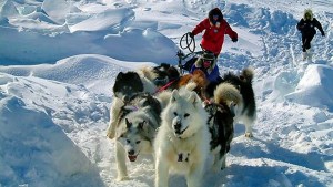 Serious Arctic