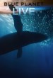 Blue Planet Live