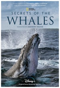 Serie Secretos De Las Ballenas