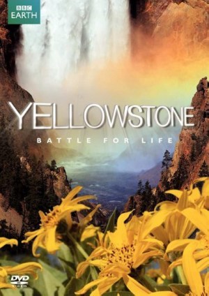 Yellowstone