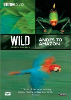 Andes to Amazon