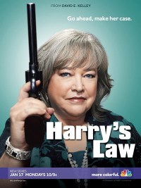 Serie Harry's Law