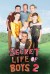 Secret Life of Boys (Serie TV)