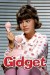 Gidget (Serie TV)