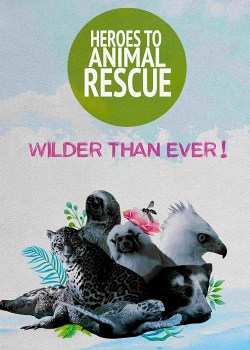 Heroes to Animals Rescue