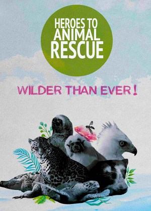 Heroes to Animals Rescue
