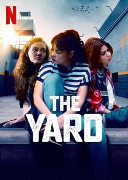 Avlu: el patio