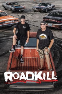 Serie Roadkill