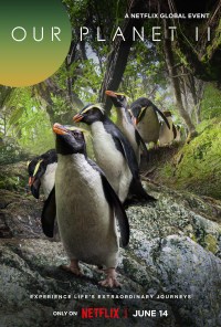 Serie Our Planet II