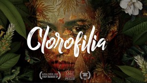 Clorofilia
