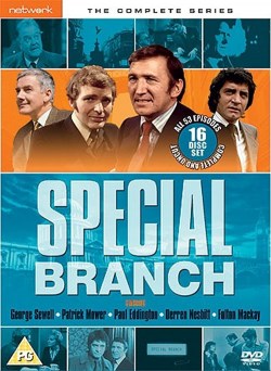 Brigada especial