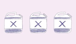 XX