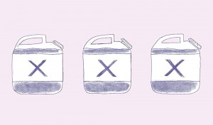 XX