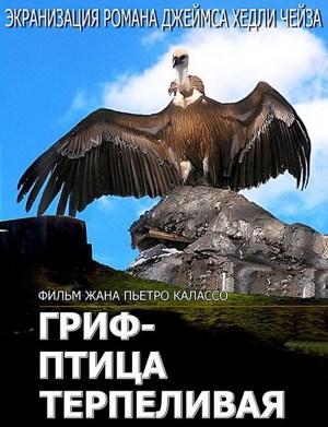 L'avvoltoio sa attendere
