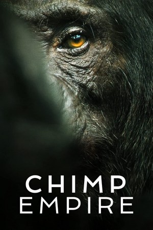 El imperio de los chimpancés