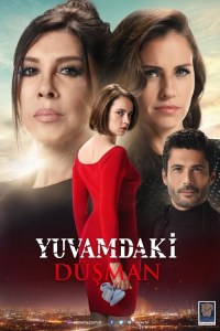 Serie Yuvamdaki Düsman