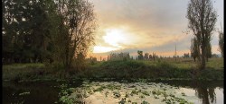 The Spice Trails: Latin America