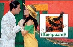 Momposina