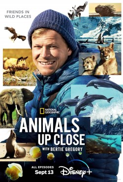 Animales en primer plano con Bertie Gregory