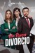 Un Buen Divorcio (Serie TV)