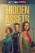 Hidden Assets (Serie TV)