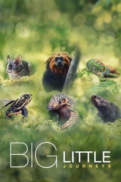 Pequeños viajes animales
