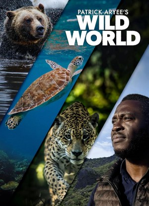 Patrick Aryee's Wild World