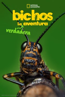 A Real Bug's Life