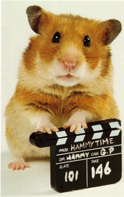 Once Upon a Hamster