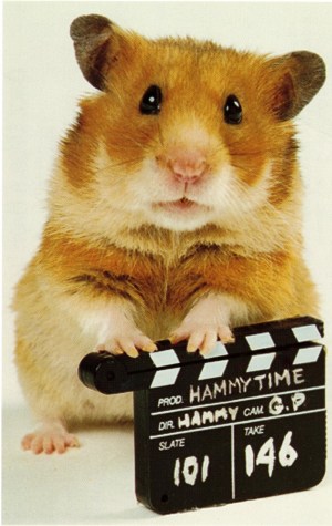 Once Upon a Hamster