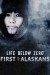 Life Below Zero: First Alaskans (Serie TV)