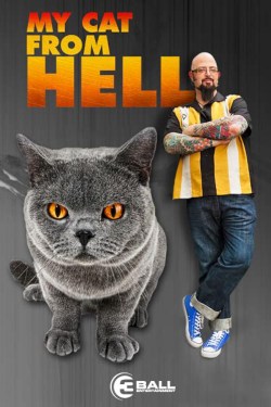 El encantador de gatos
