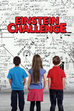 The Einstein Challenge The Einstein Challenge
