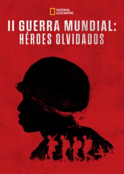The Color of Victory: Heroes of WW2