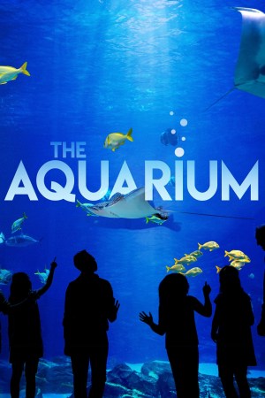 The Aquarium The Aquarium