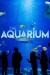 The Aquarium (Serie TV)