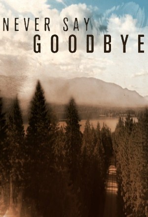 Never Say Goodbye Never Say Goodbye