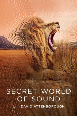El mundo secreto del sonido con David Attenborough El mundo secreto del sonido con David Attenborough