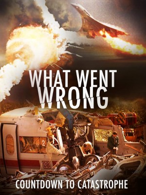 What Went Wrong: Countdown to Catastrophe What Went Wrong: Countdown to Catastrophe