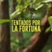Tentados por la Fortuna