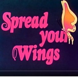 Spread Your Wings