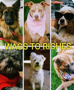 Wags to Riches