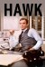 Hawk (Serie TV)