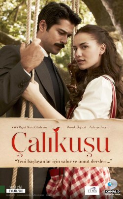 Çalikusu