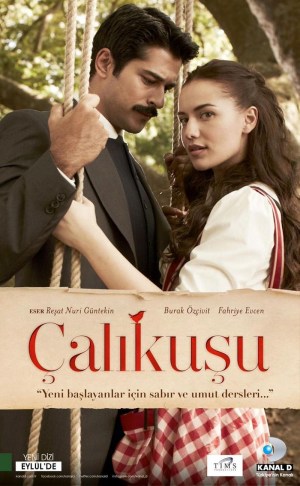 Çalikusu