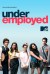 Underemployed (Serie TV)