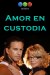 Amor en custodia (Serie TV)
